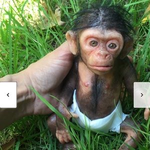 Meet your Posher, Dina